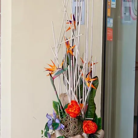 Hotel Canguro San Benedetto del Tronto