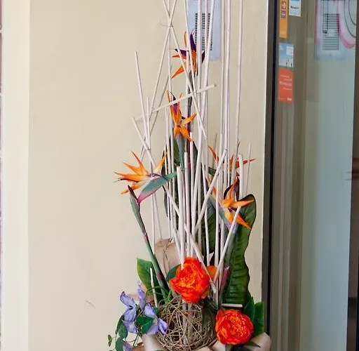 ホテル Canguro サン・ベネデット・デル・トロント