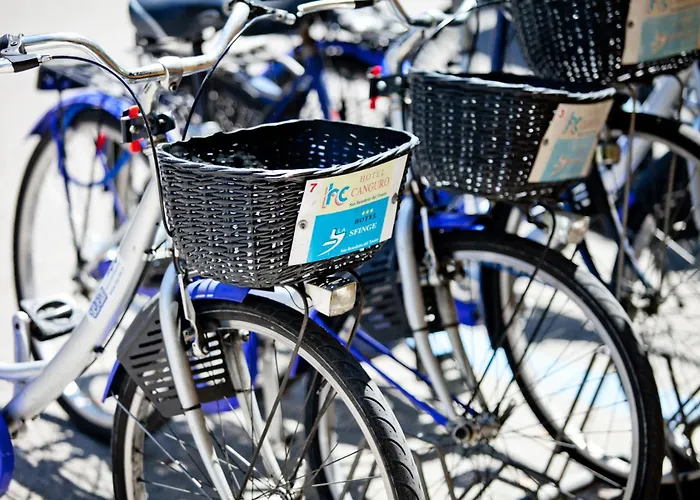 ホテル Canguro 3*