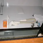 Hotel Canguro 3*