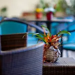 Canguro Hotel