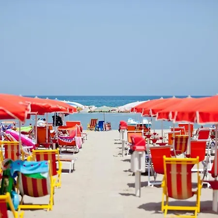 Canguro San Benedetto del Tronto